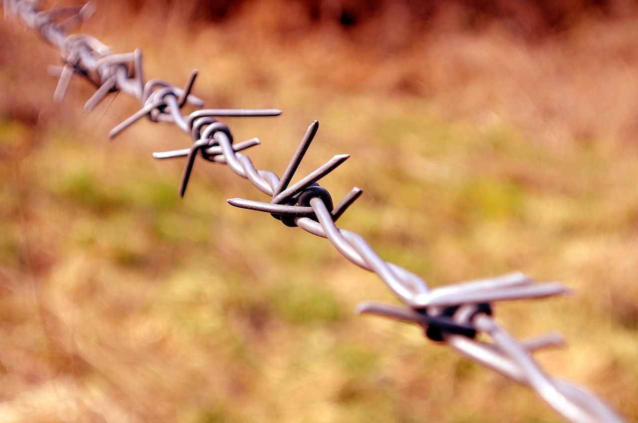 10 Most Common Risks in Online Social Networking